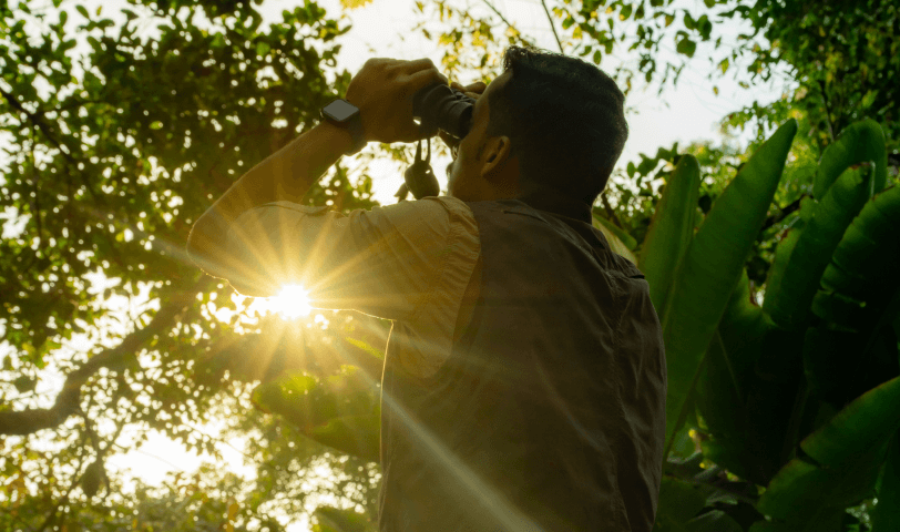 Bird watching gallery image