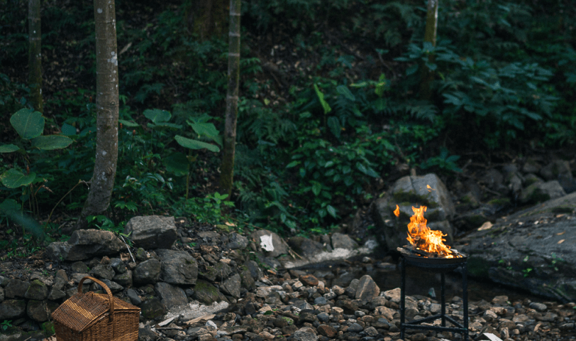 Picnic in the forest gallery image 1