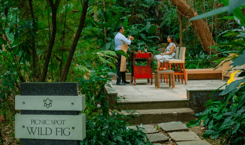 Picnic in the forest gallery image 2