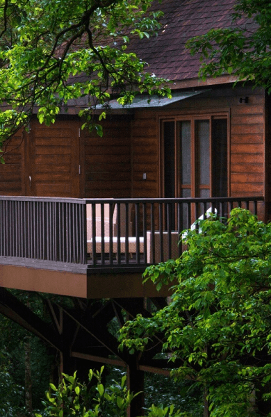 TTC - Special Offers - Header