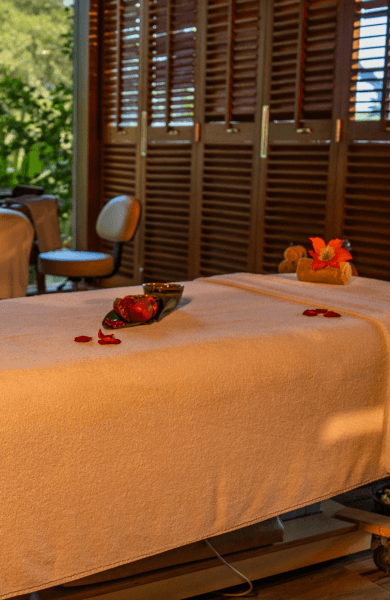 TTC - Wellness - Header