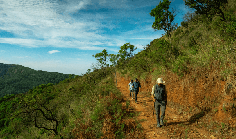 Trekking gallery image 1