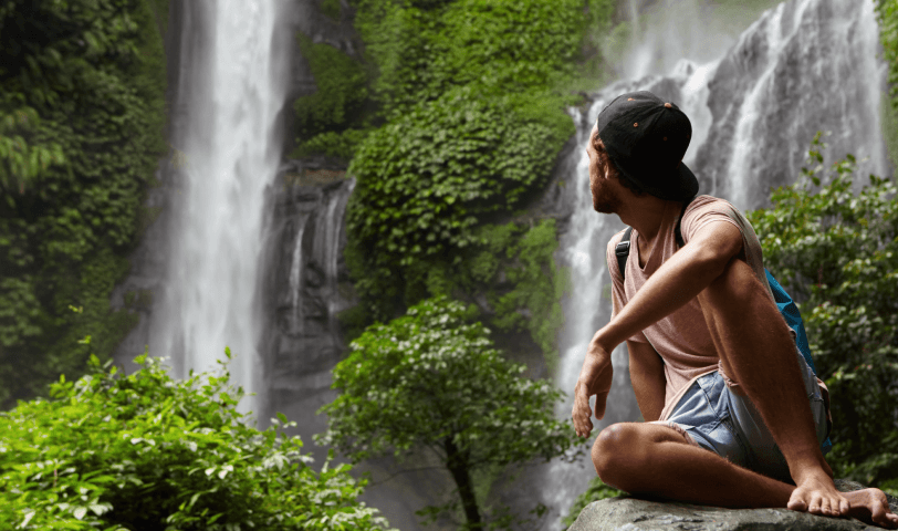 forest bathing gallery image 2