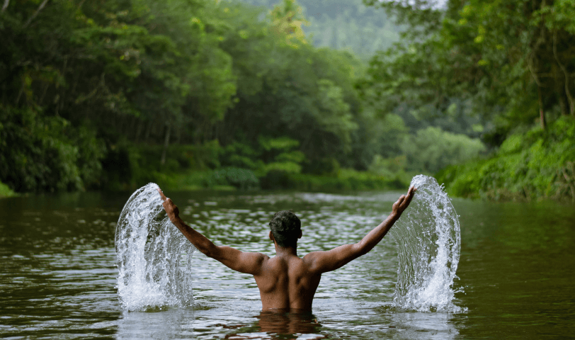 forest bathing gallery image new 1