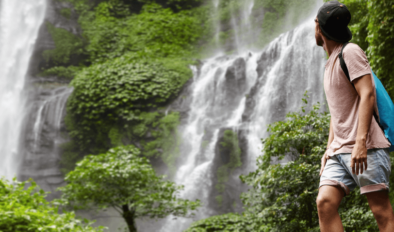 forest bathing gallery image new 2