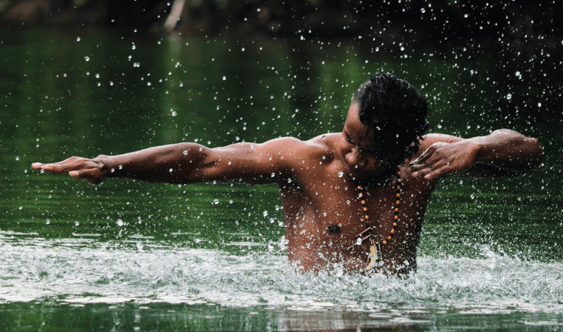 forest bathing gallery image new