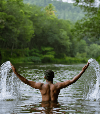 forest bathing image