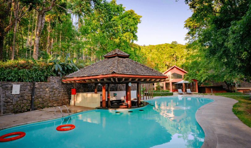 swimming gallery image 3